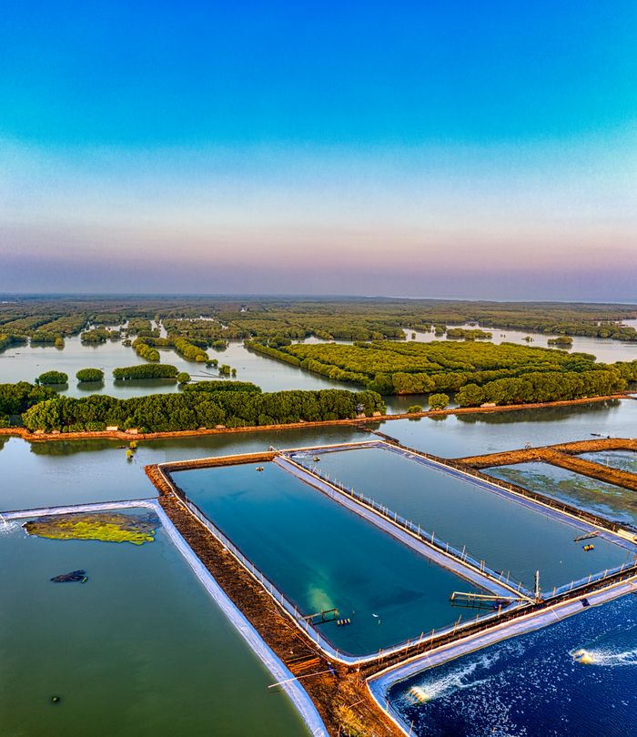 Crafting Captivating Headlines: Your awesome post title goes here Aerial shot of lush fish farms against a scenic coastal landscape in West Java, Indonesia.